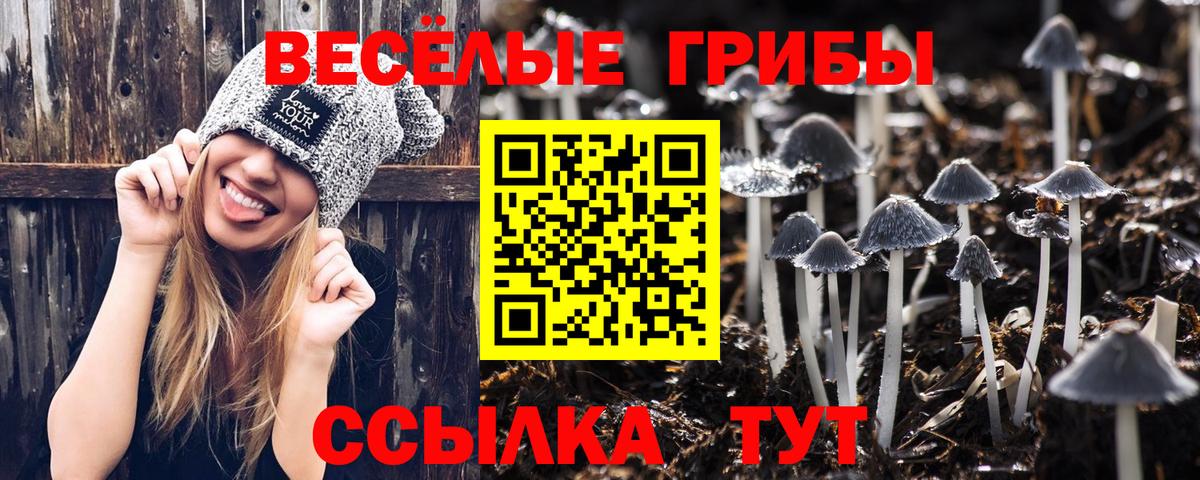Псилоцибиновые грибы Cubensis Воскресенск
