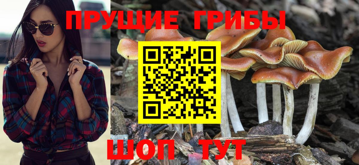 Воскресенск  цены   Галлюциногенные грибы мицелий  Вход с VPN  Галлюциногенные грибы прущие грибы 